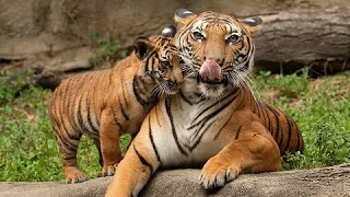 चालू घडामोडी ११ व १२ मे २०१७