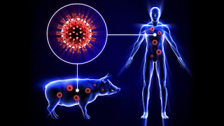 स्वाइन फ्ल्यू  रोगाविषयी माहिती