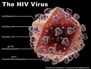एड्स (AIDS) रोगाविषयी माहिती