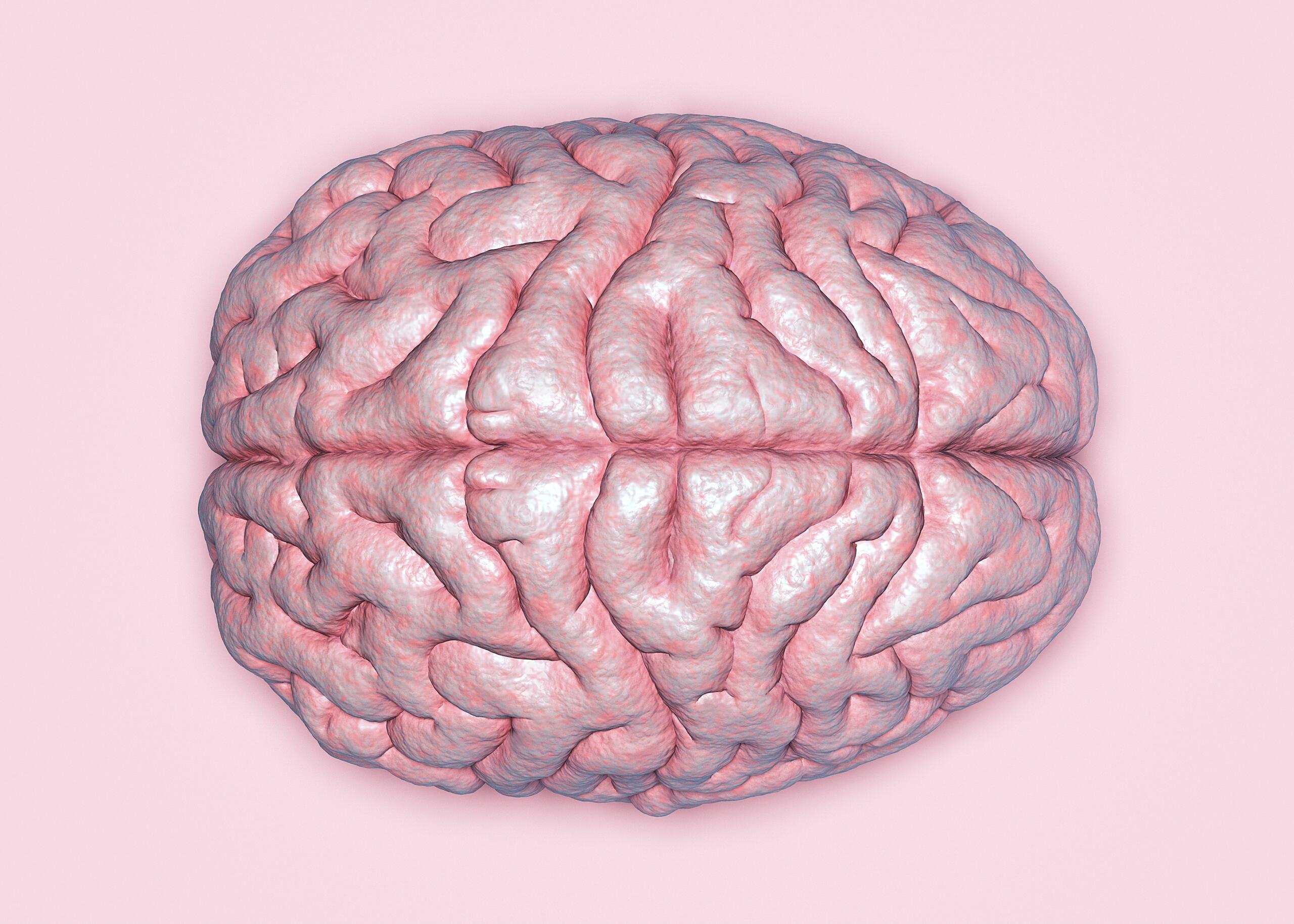 Brain MPSC